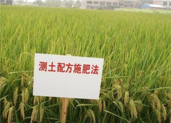 HM詳解土壤養(yǎng)分速測(cè)儀怎么用？