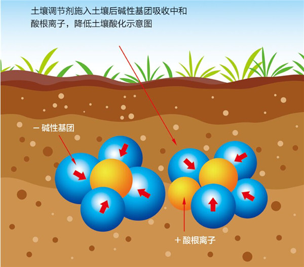 土壤是農(nóng)業(yè)的基礎(chǔ)，保護(hù)土壤，從現(xiàn)在開(kāi)始
