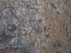 土壤養(yǎng)分快速測定儀分析土地利用方式與土壤質量的關系