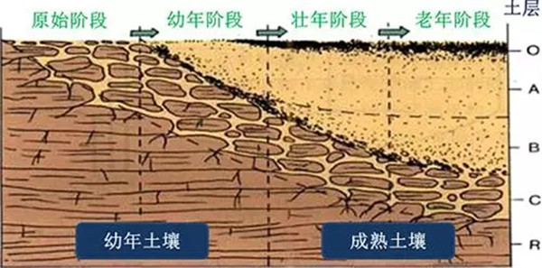 土壤養(yǎng)分檢測儀工作原理、技術(shù)和方法