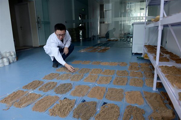 果樹的光合作用與土壤水分有什么關(guān)系？