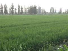 土壤水分速測(cè)儀能測(cè)定土壤墑情規(guī)律嗎？